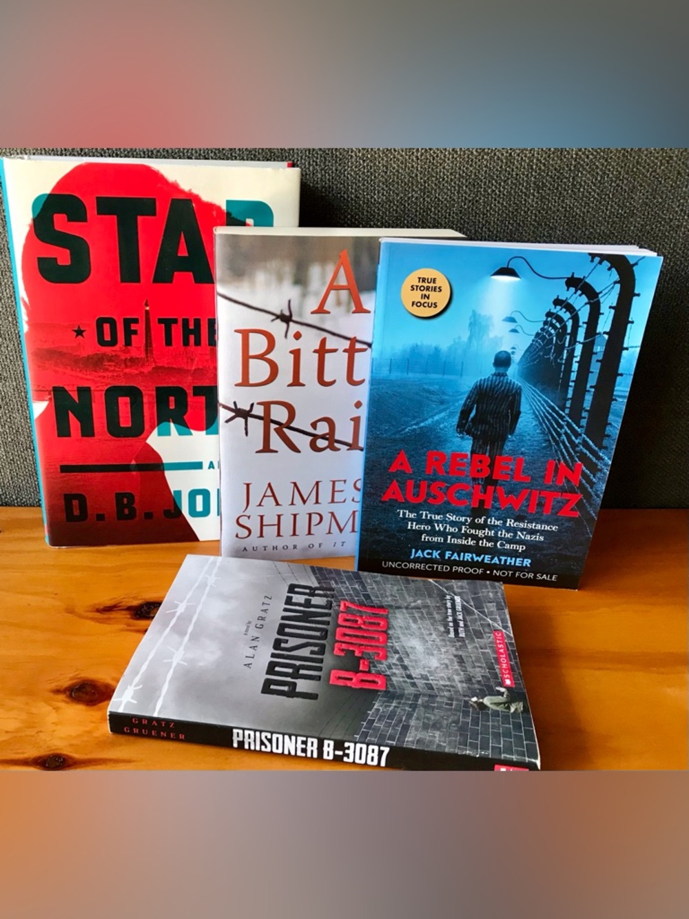Lot 4 Adult Reading Books Prisoner B-3087 A Bitter Rain Star Of The North More